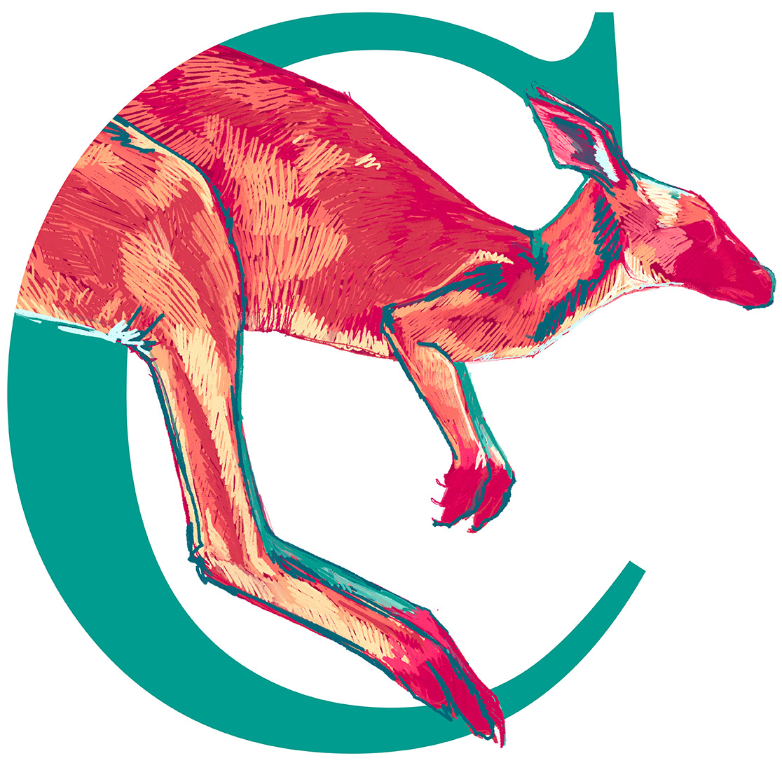 Canguro