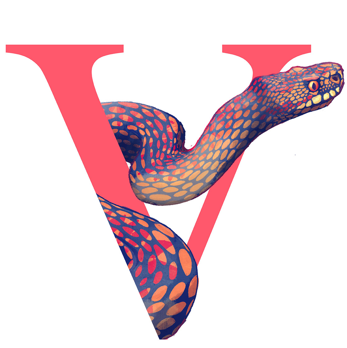 Viper / Vipera