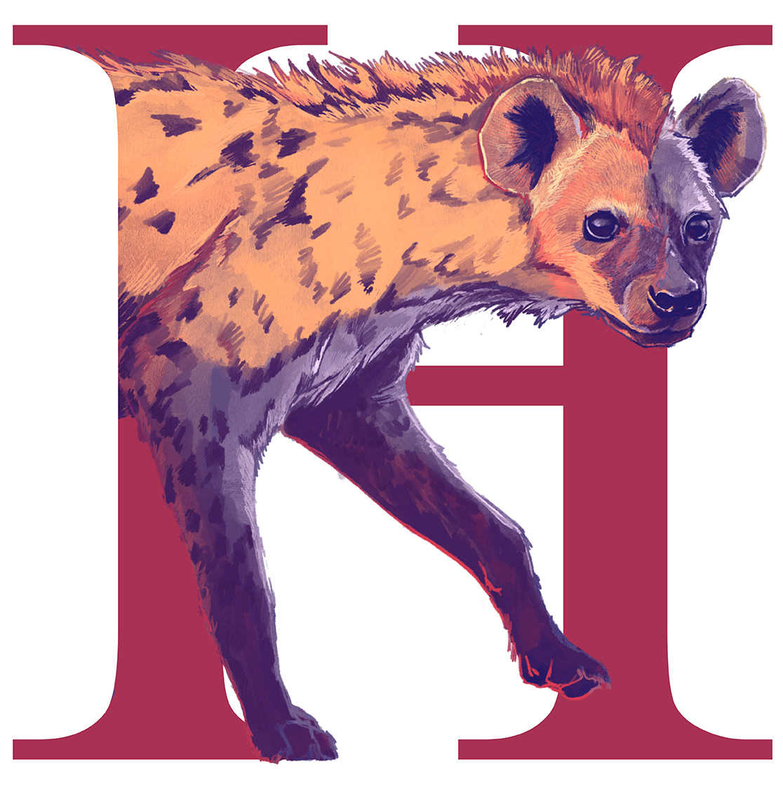 Hyena