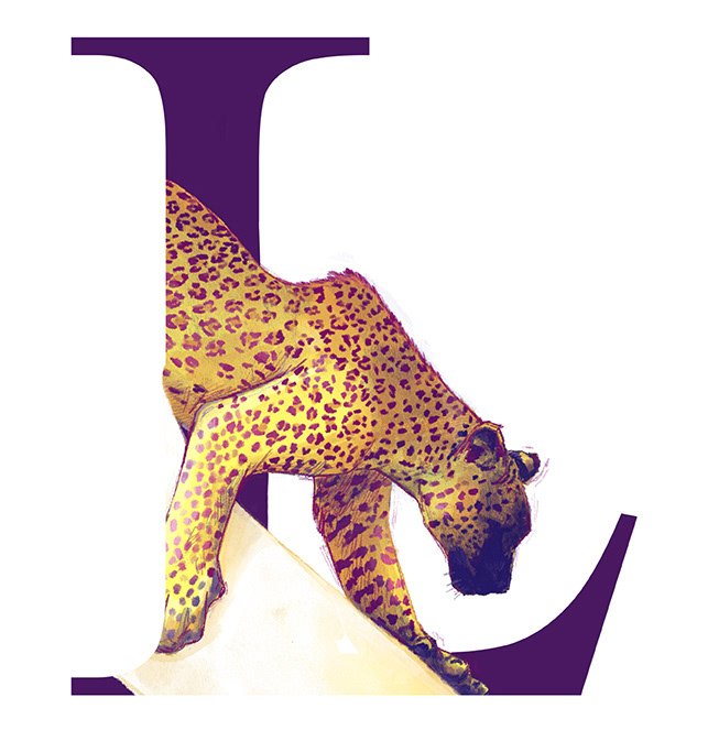 Leopard / Leopardo