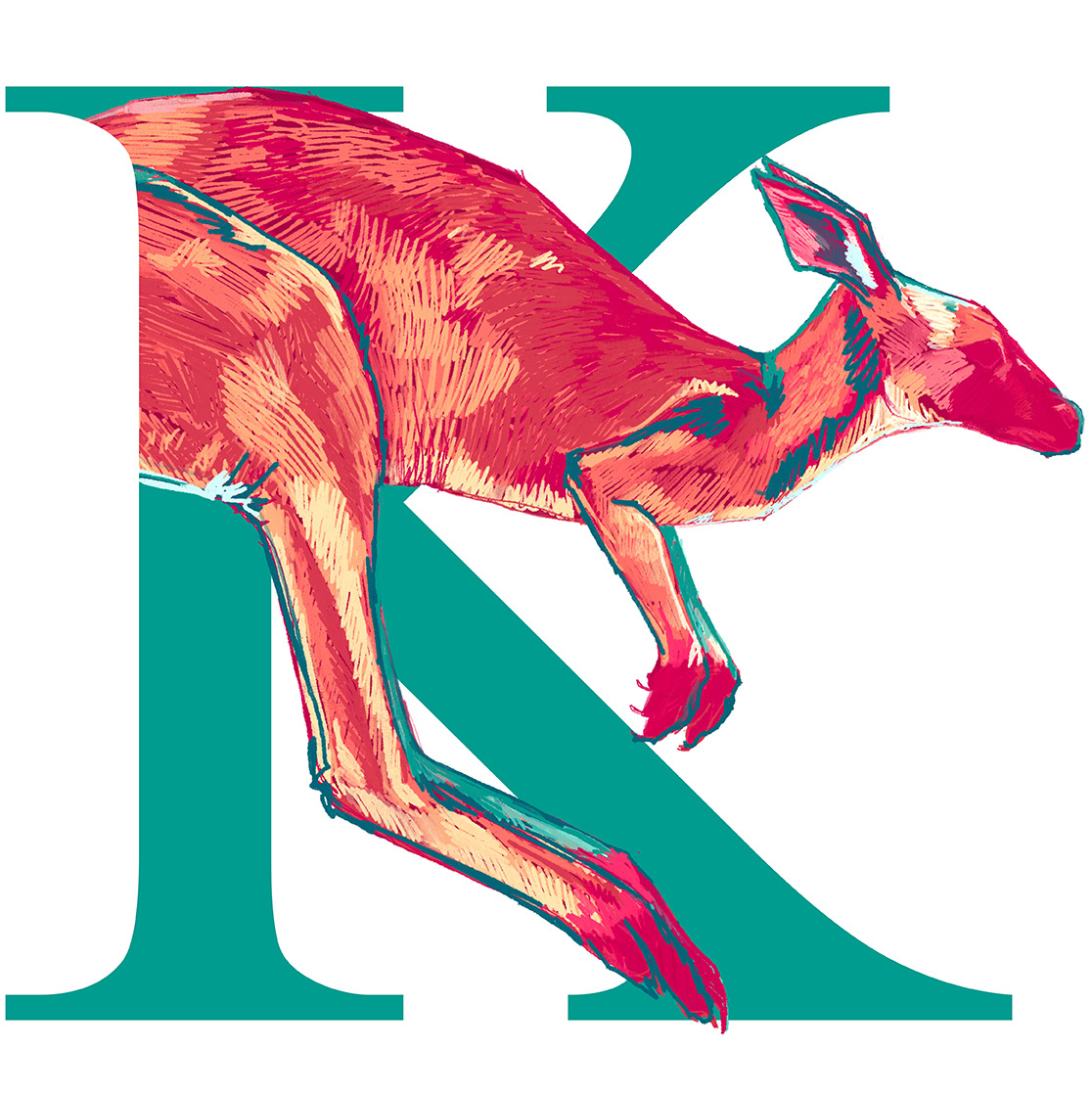 Kangaroo