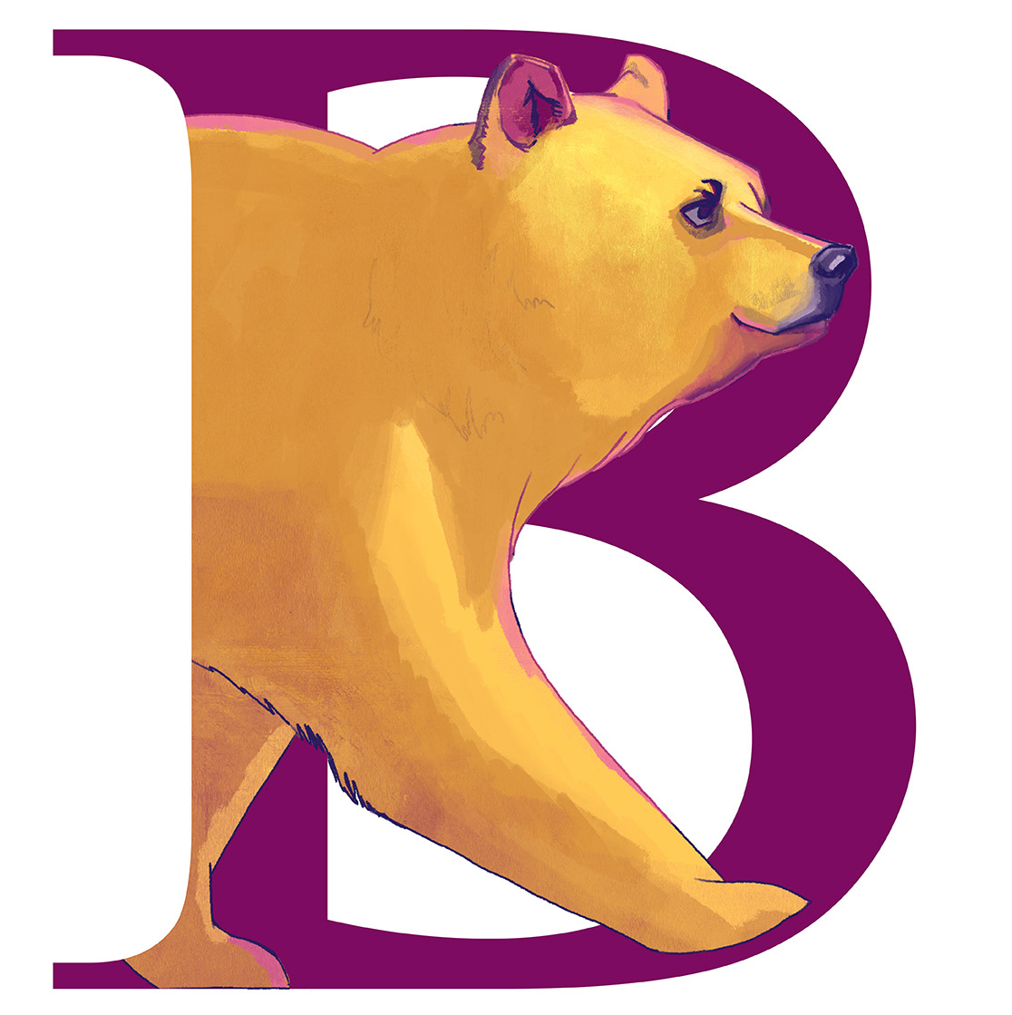 Bear