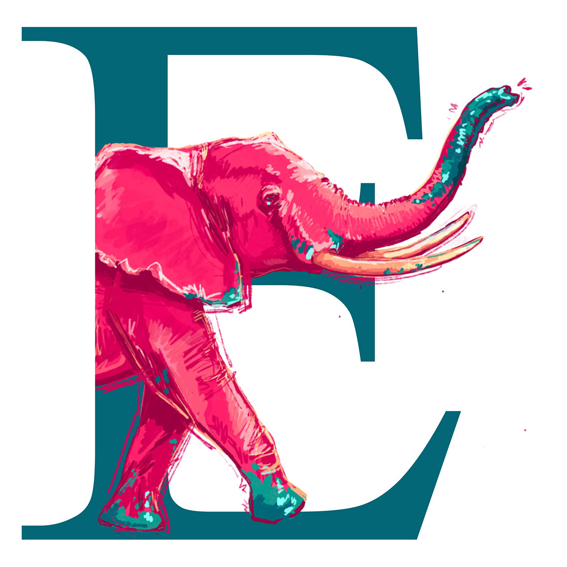 Elephant / Elefante