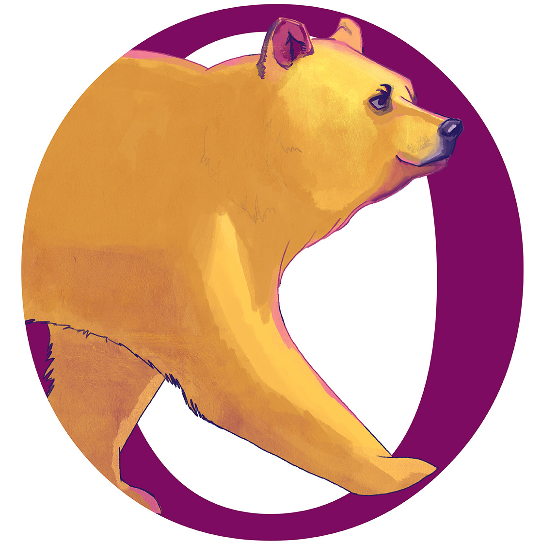 Orso