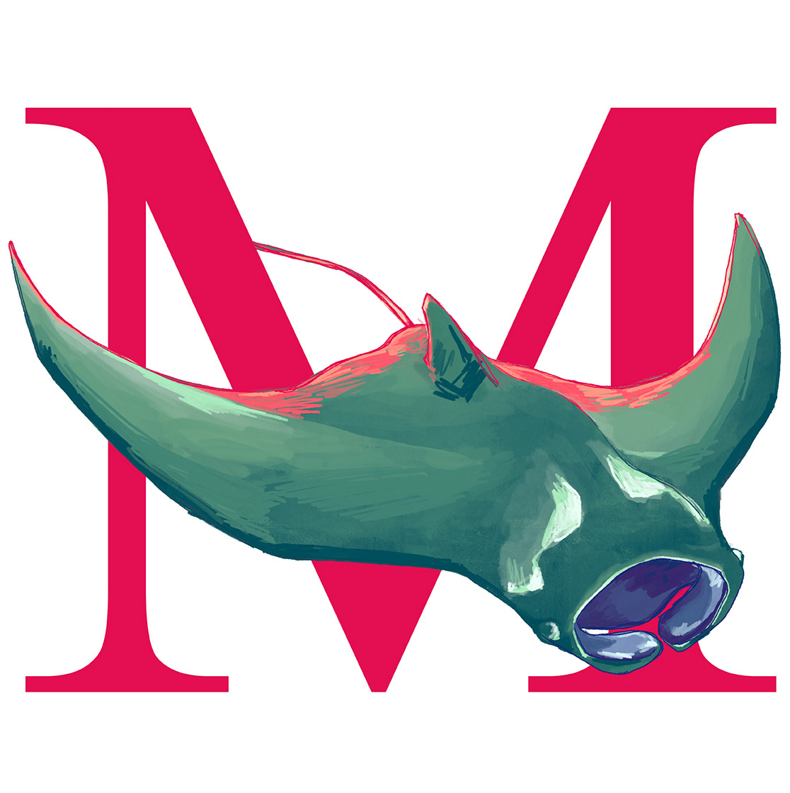 Manta
