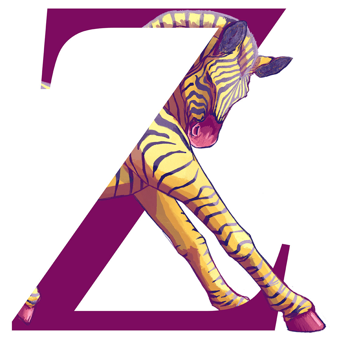 Zebra