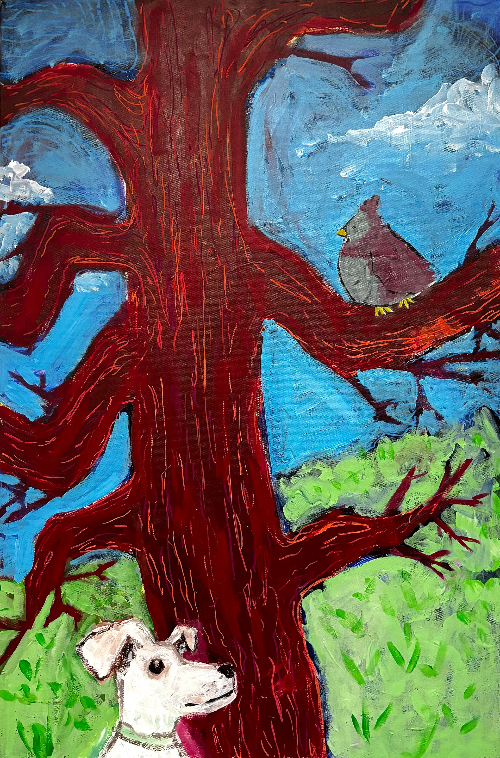 Calvin in the Backyard, 2024