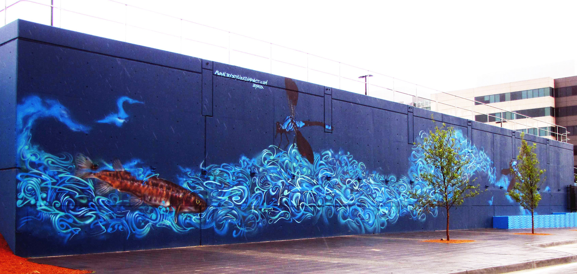Collaboration with byrd.