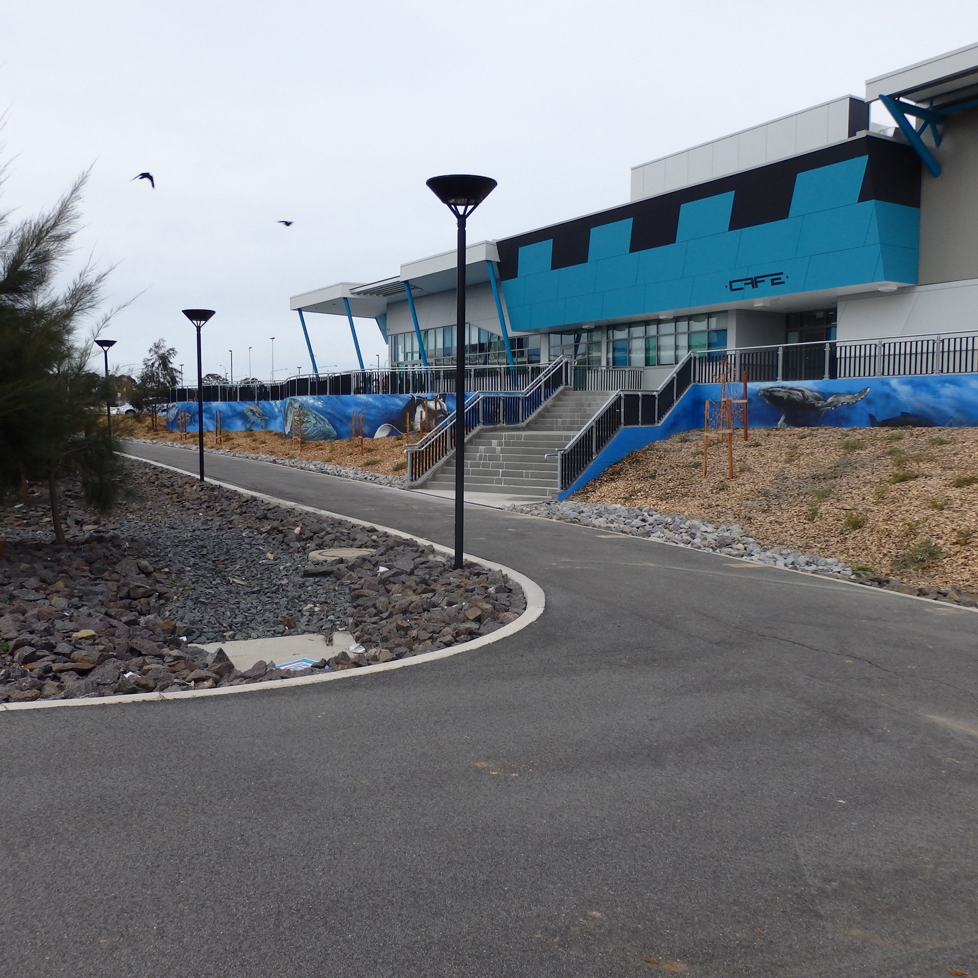 Collaboration with byrd.