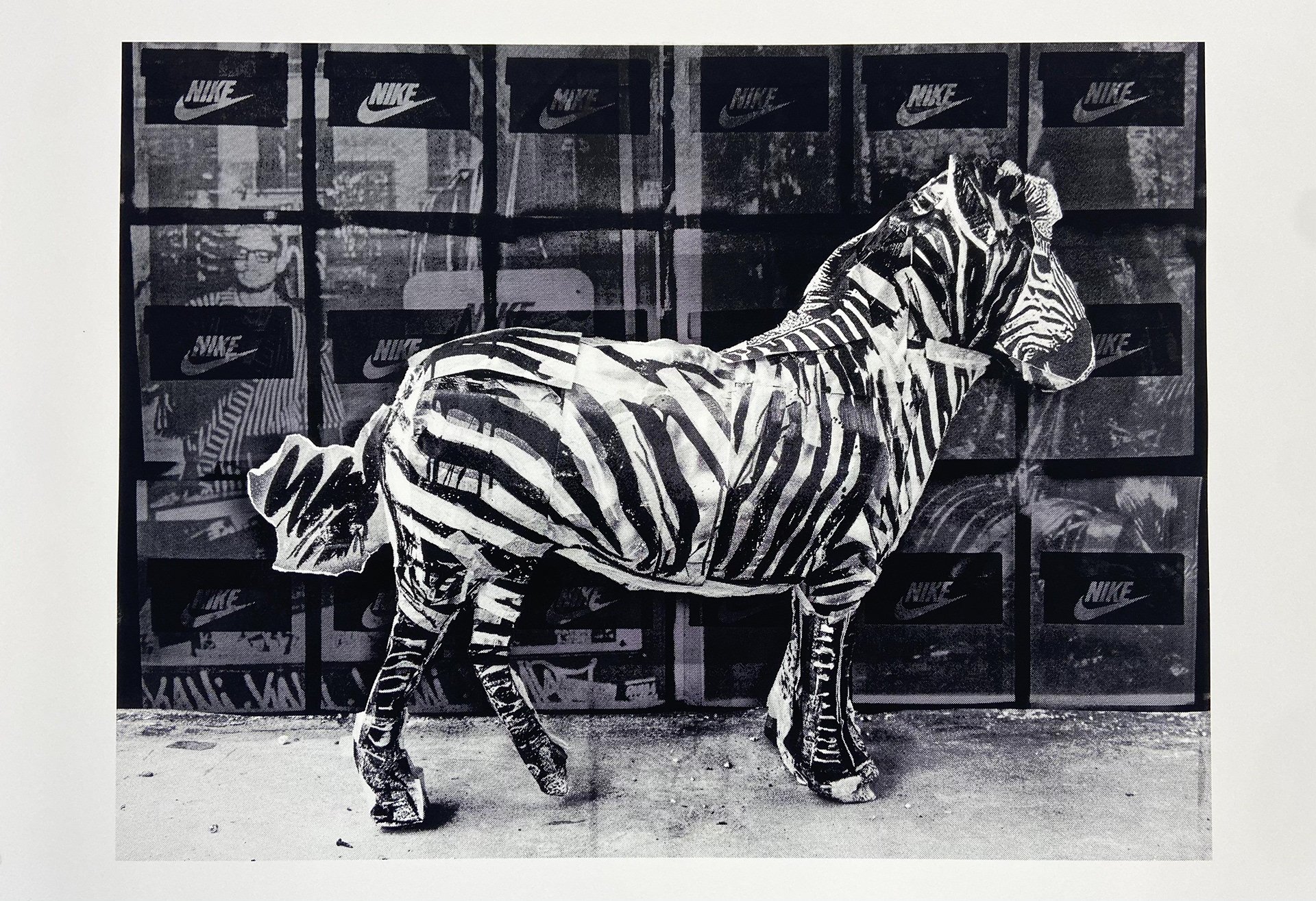 ZEBRA (Silkscreen on paper, 100 x 70 cm, edition of 25)
