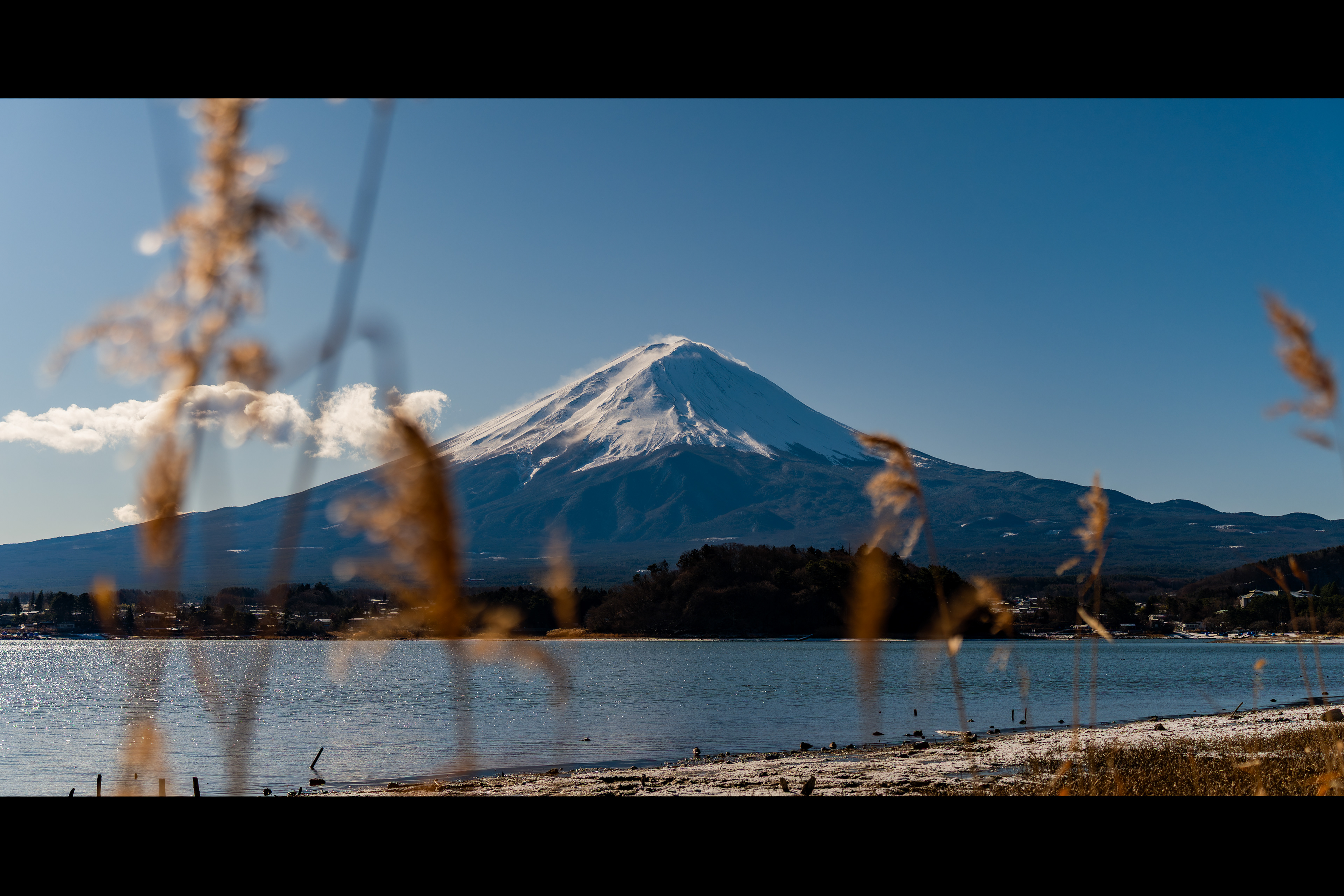 Mt. Fuji