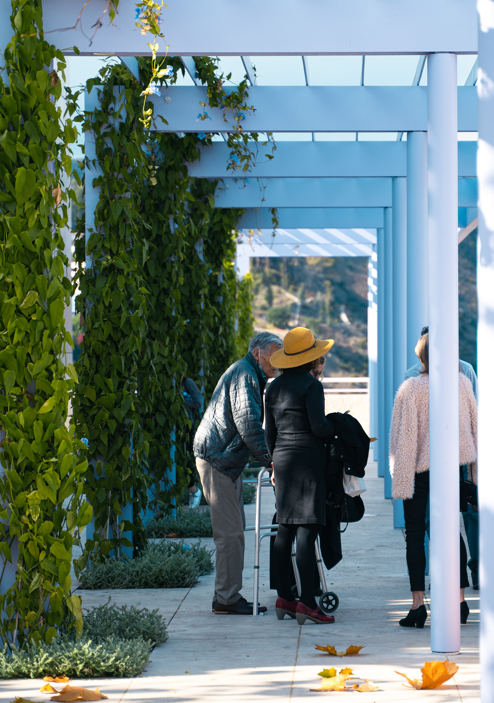 Getty Museum