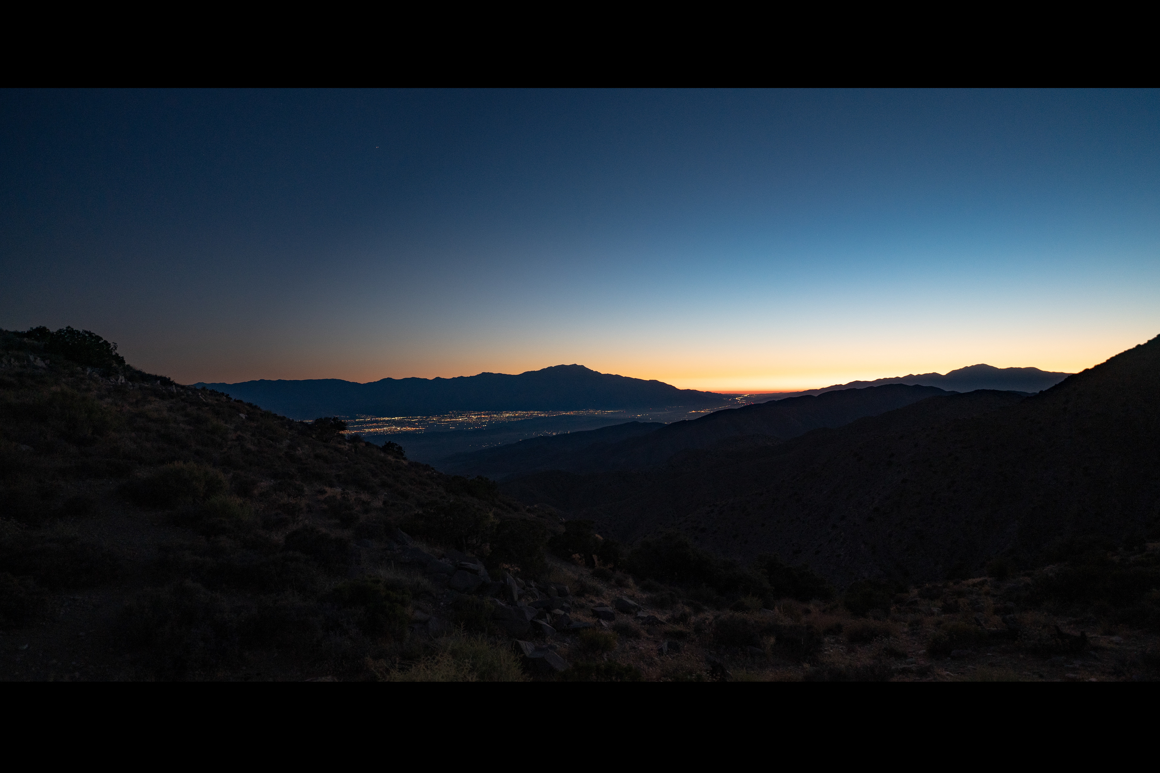 Joshua Tree Park