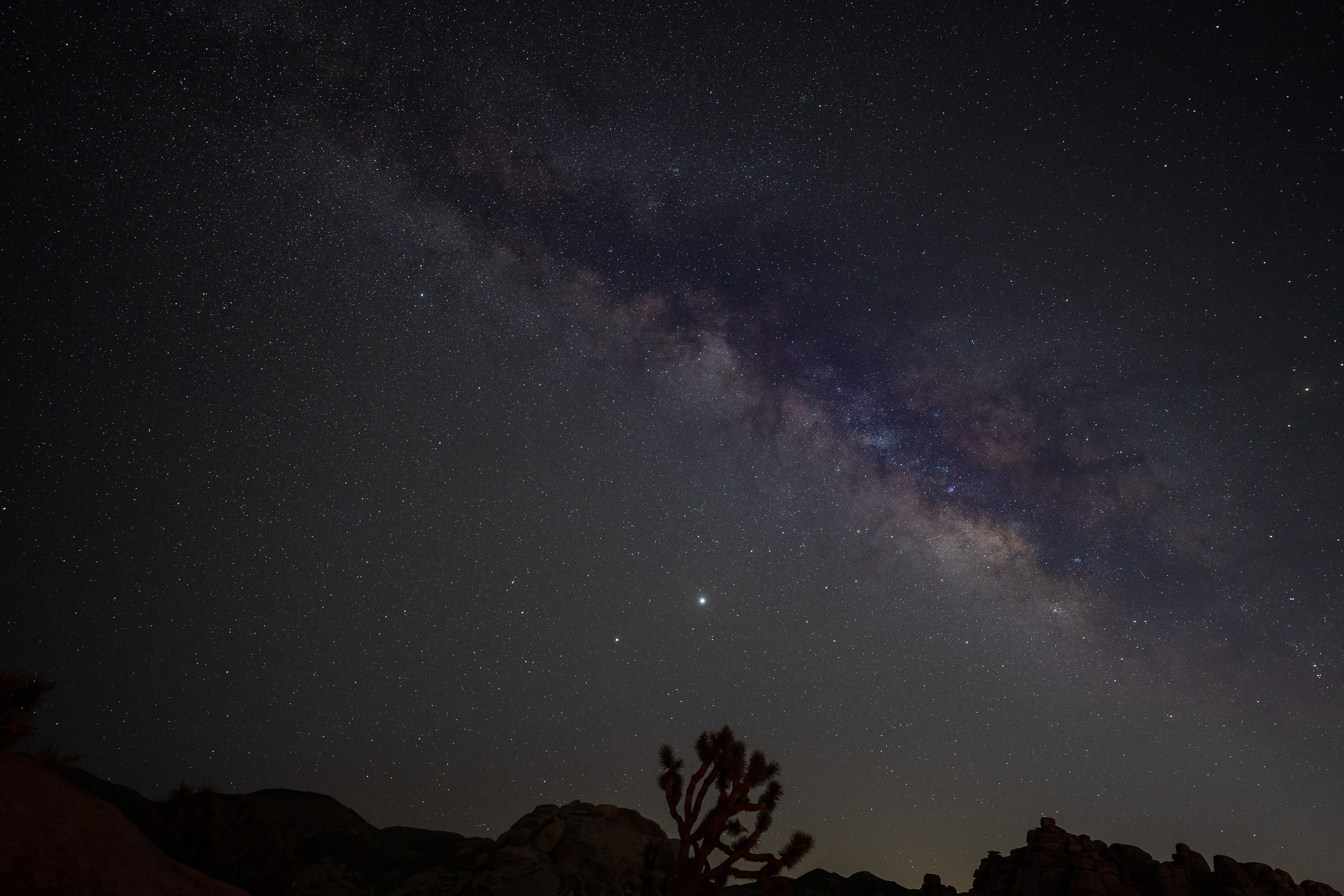Joshua Tree Park