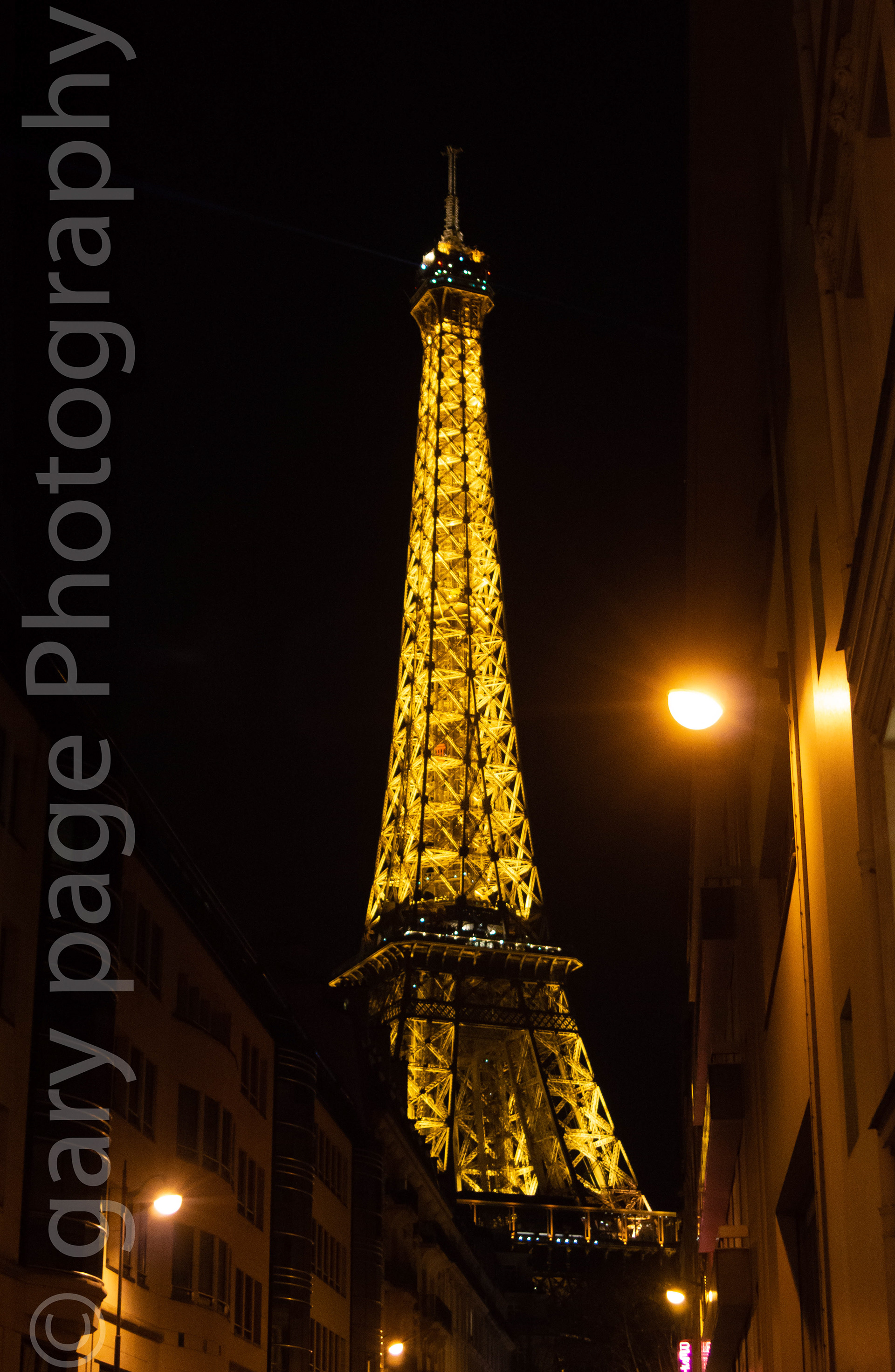 the stunning Eiffel Tower