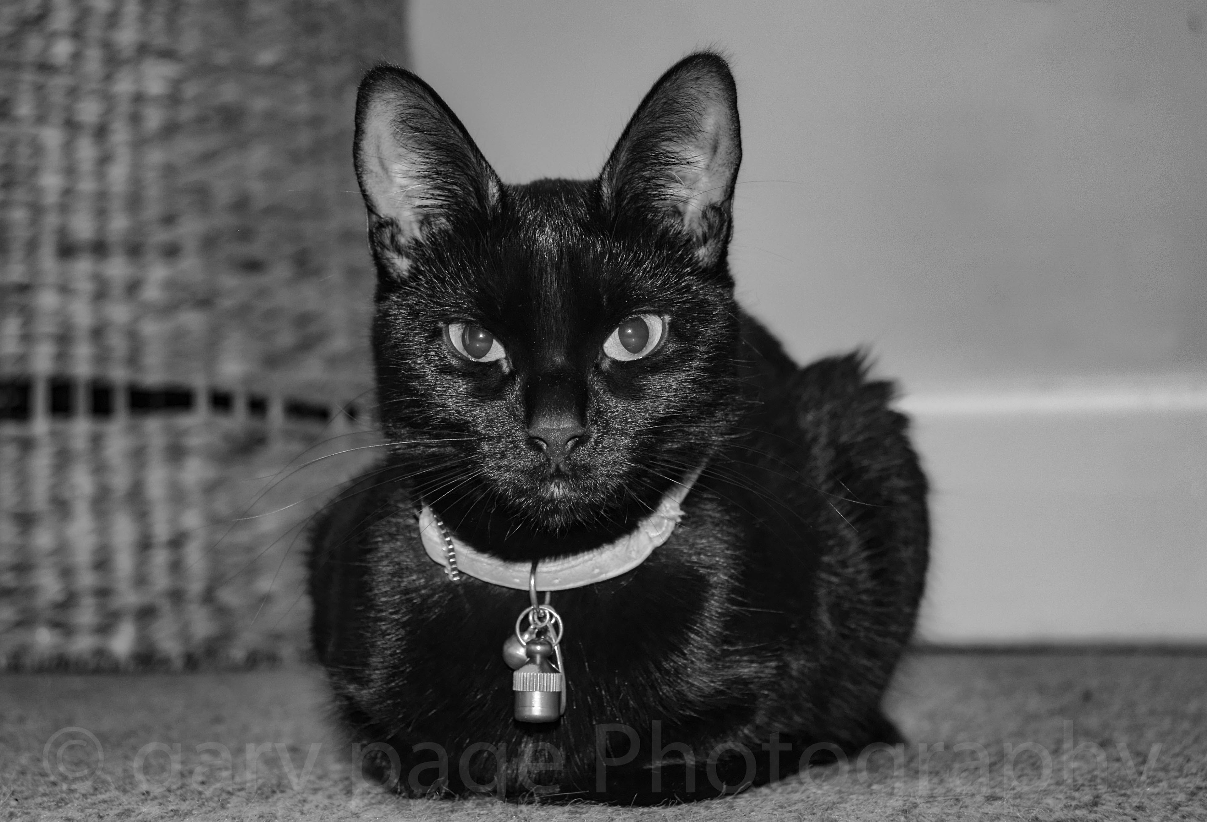 Spooky by name, Spooky by nature