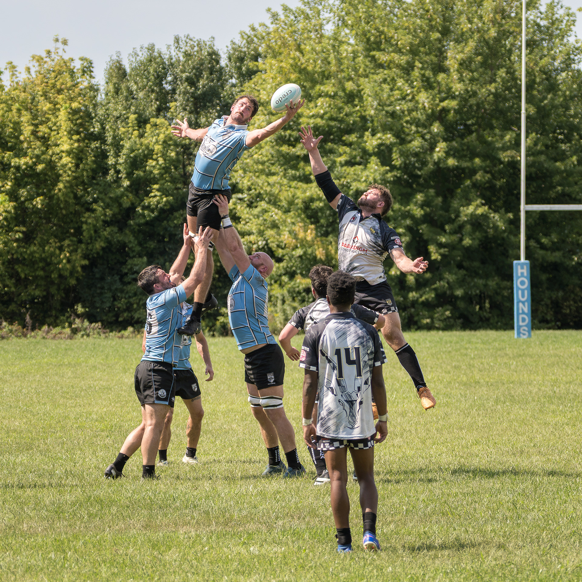 Wolfhounds vs Impalas