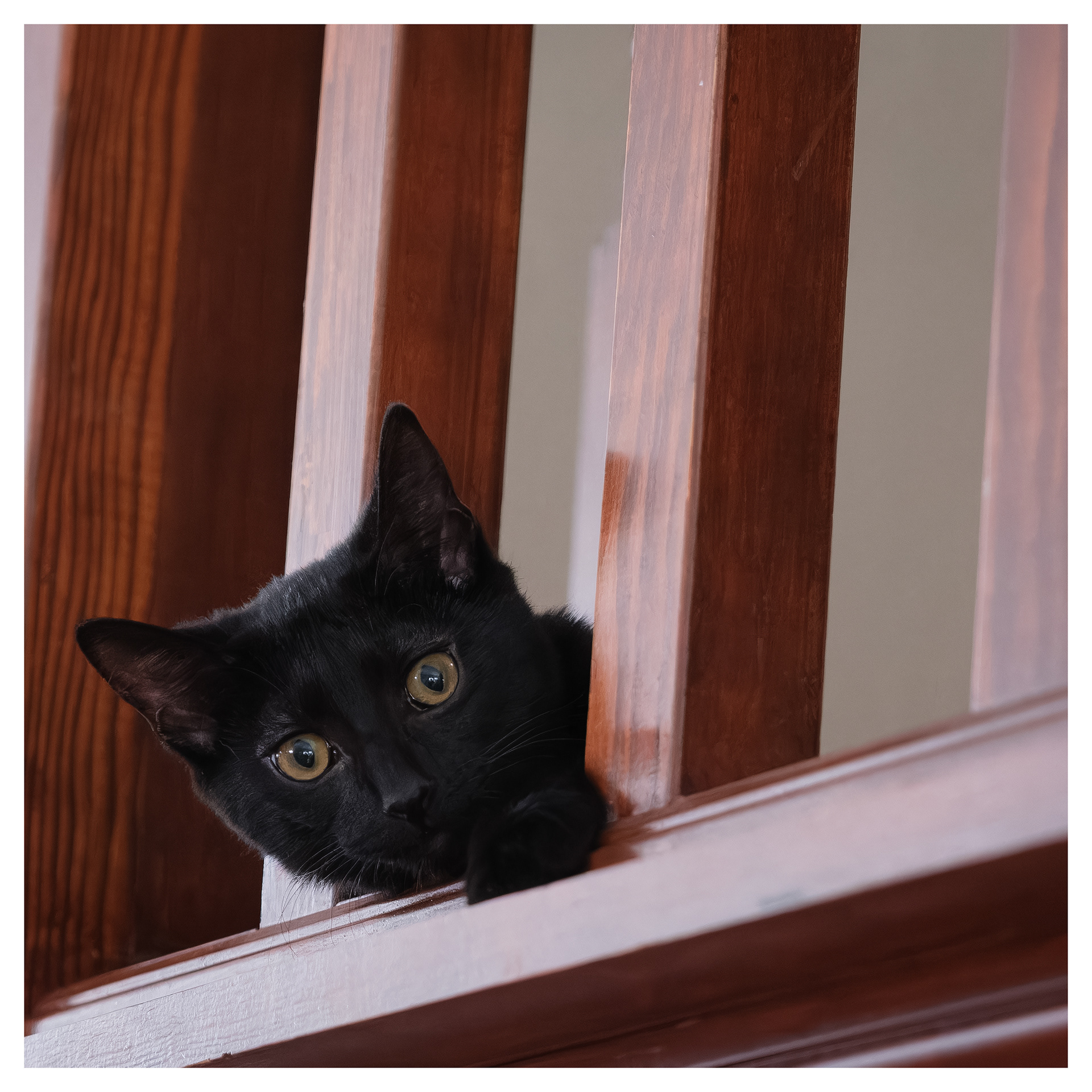 Spice - keeping an eye on things