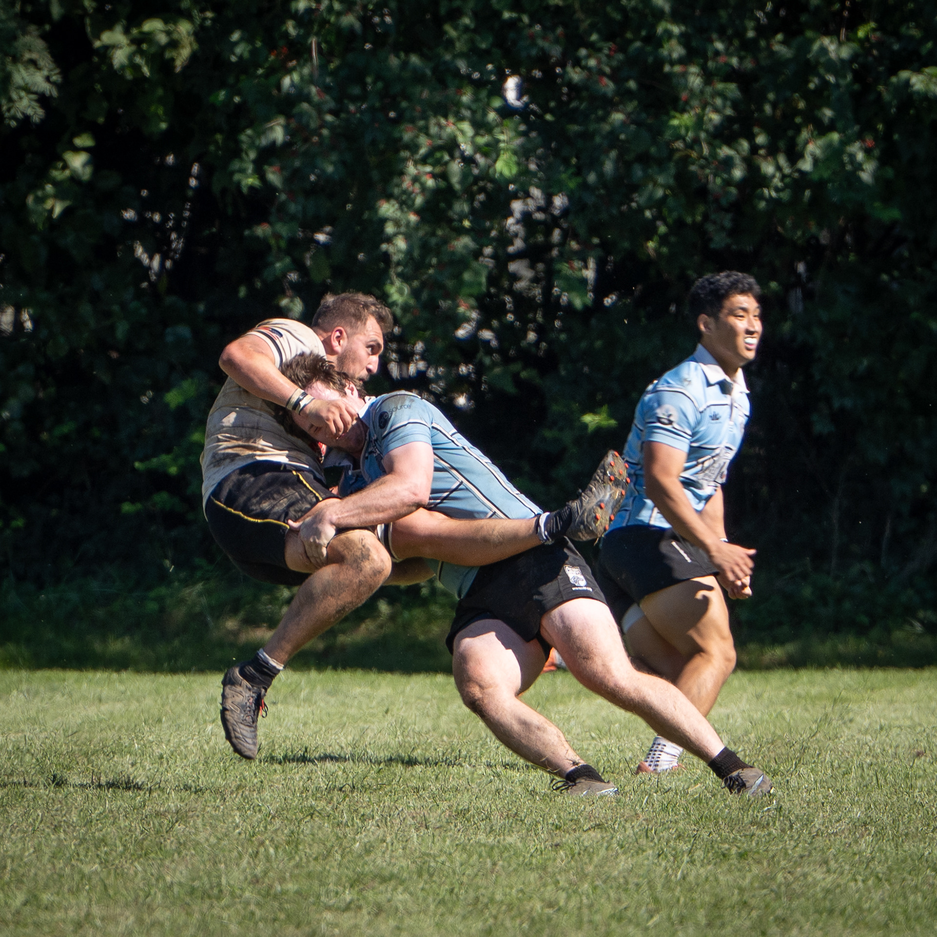 Wolfhounds vs Impalas