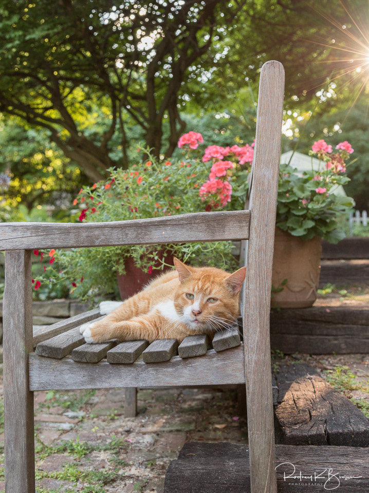 Rusty - relaxing afternoon