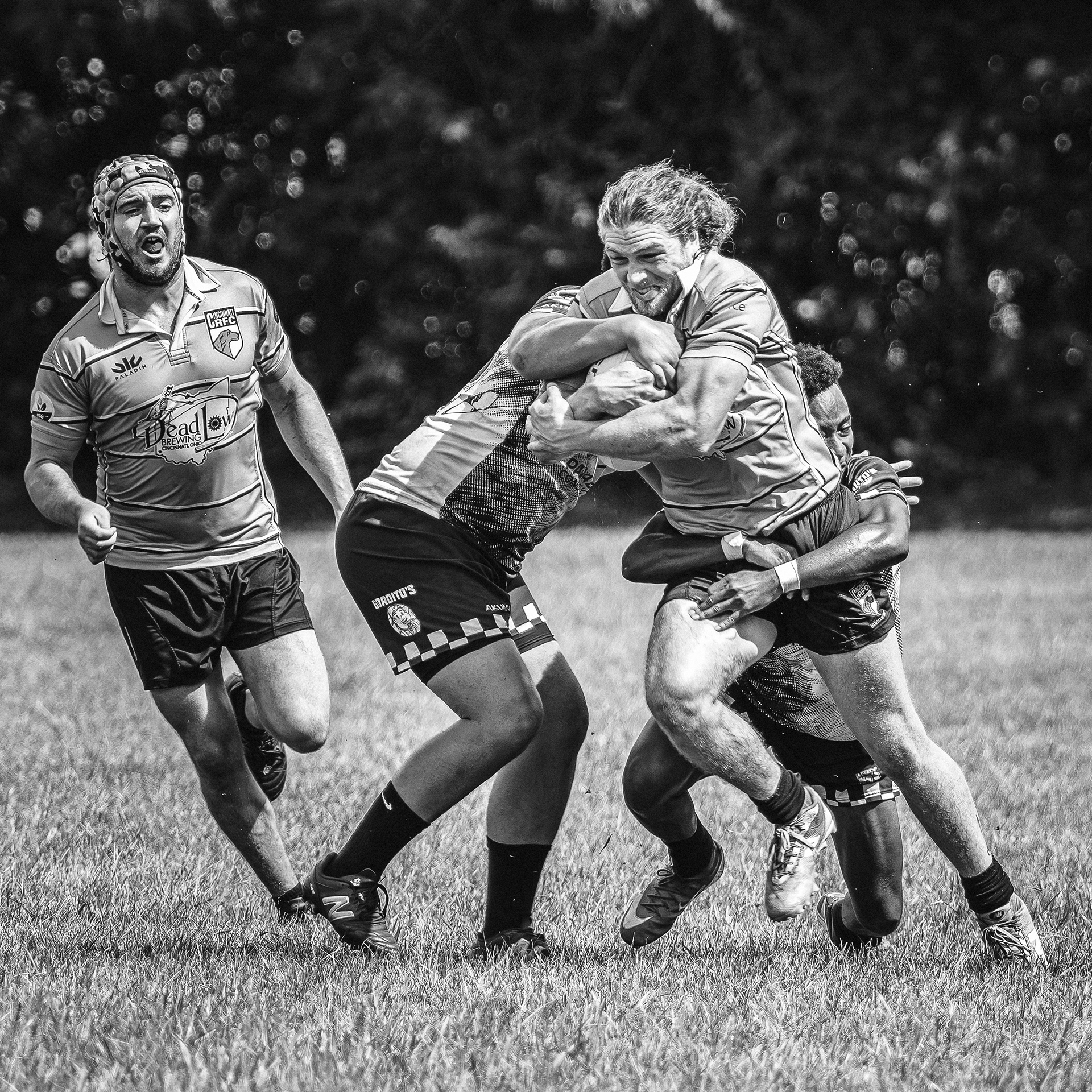 Wolfhounds vs Impalas