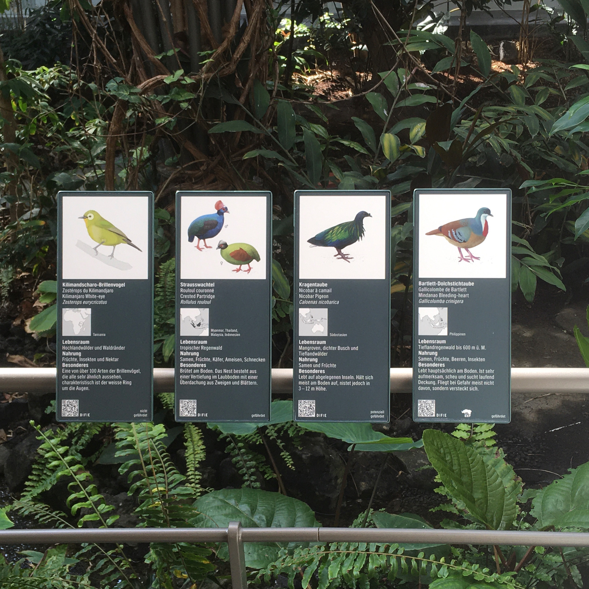 Neubau Vogelhaus – Zoo Basel – Jan Zbinden