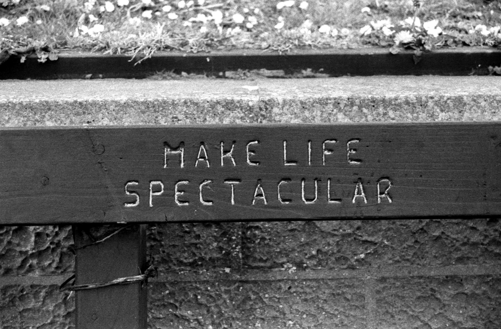 35mm B&W Film Costal Path Holywood