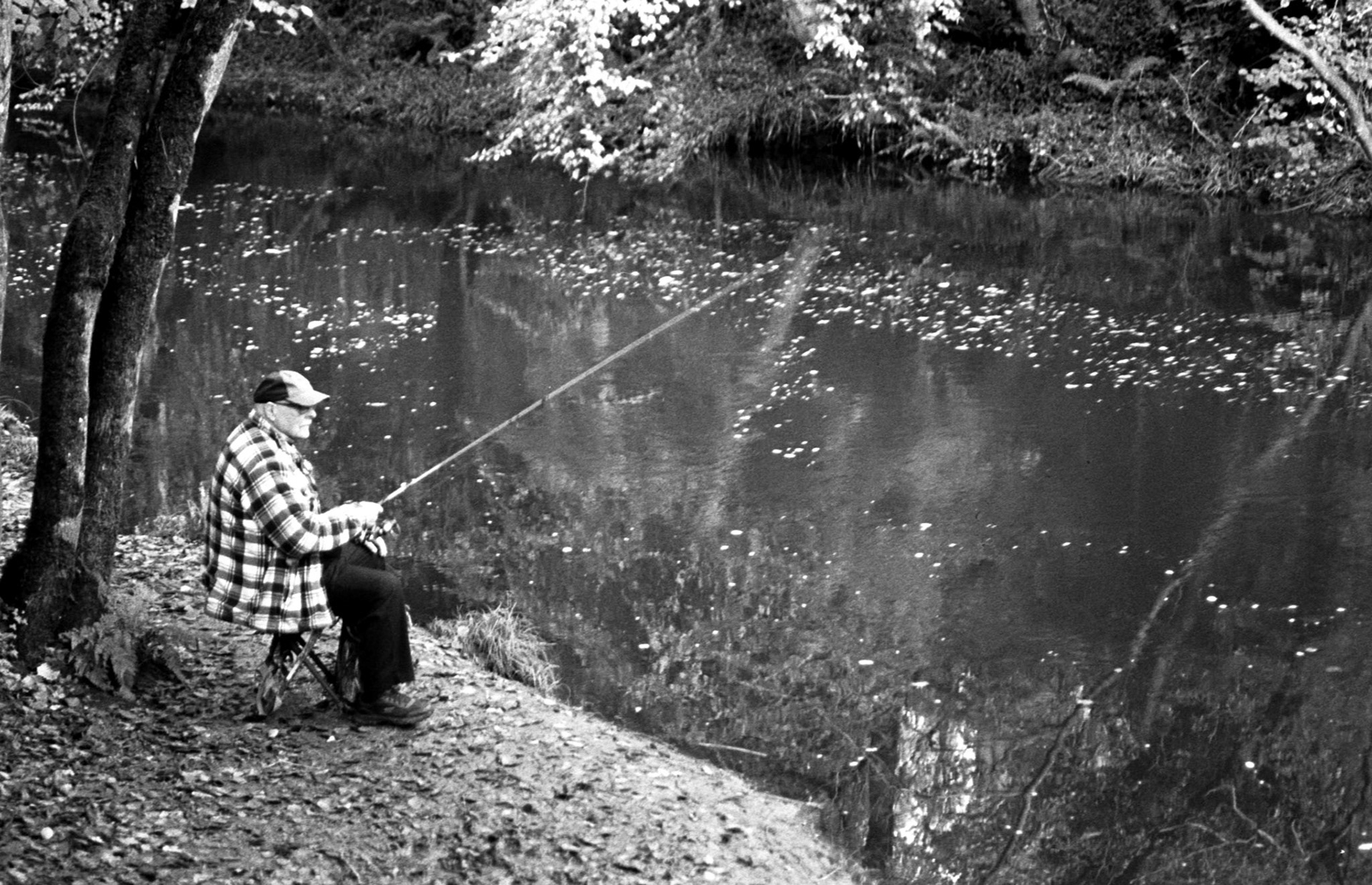 35mm B&W Film Clare Glen