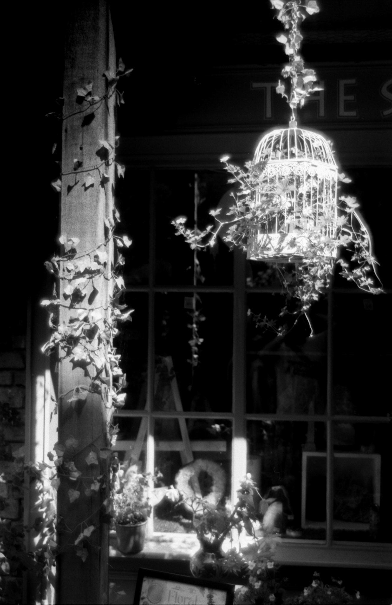 35mm B&W Film Derry City Centre