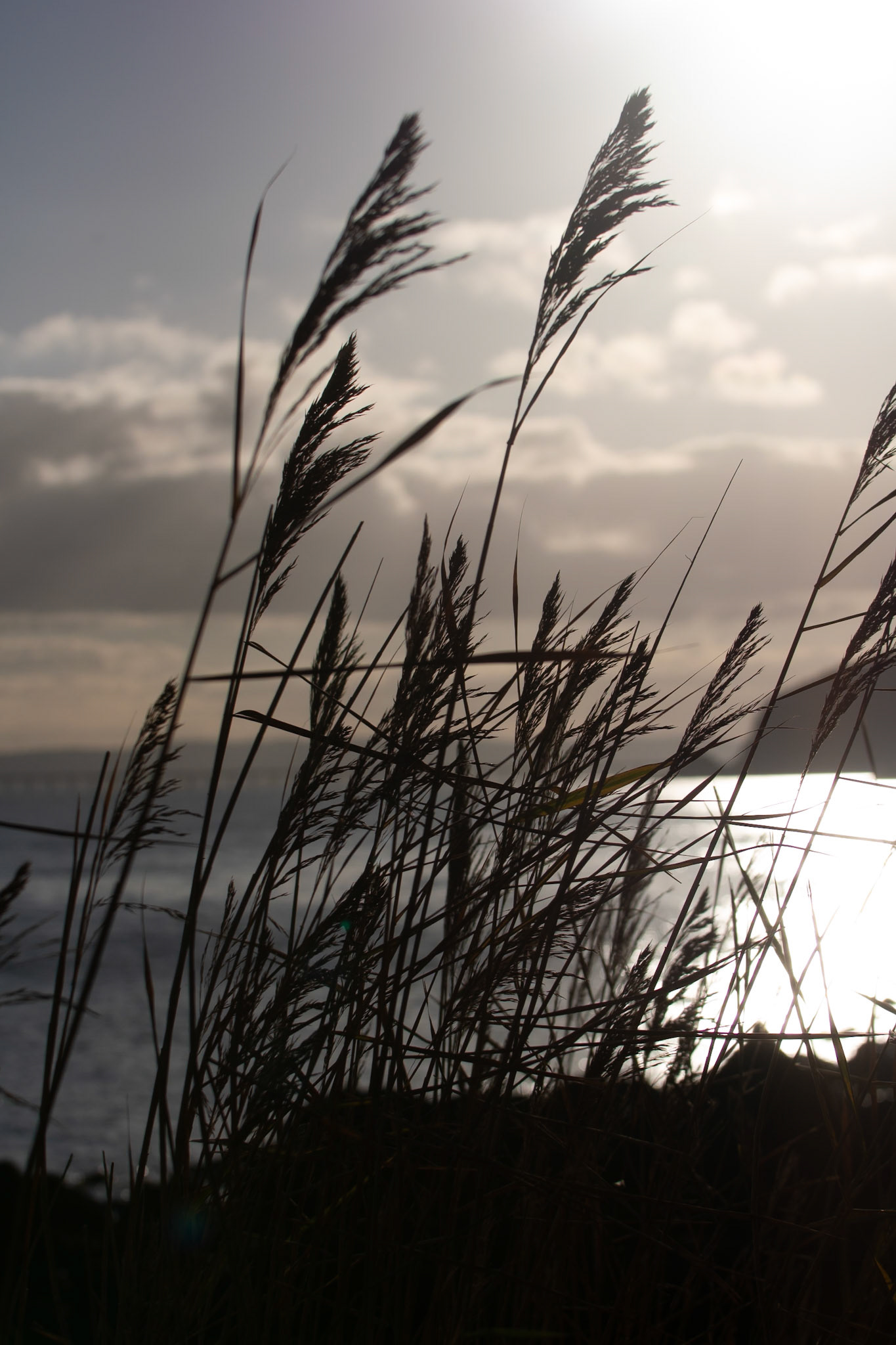 Digital Antrim Coast