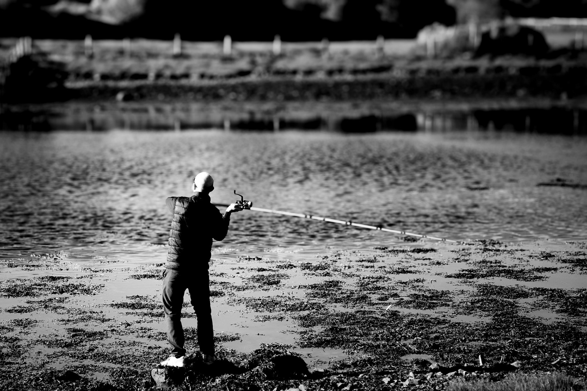 Digital Ards Peninsula