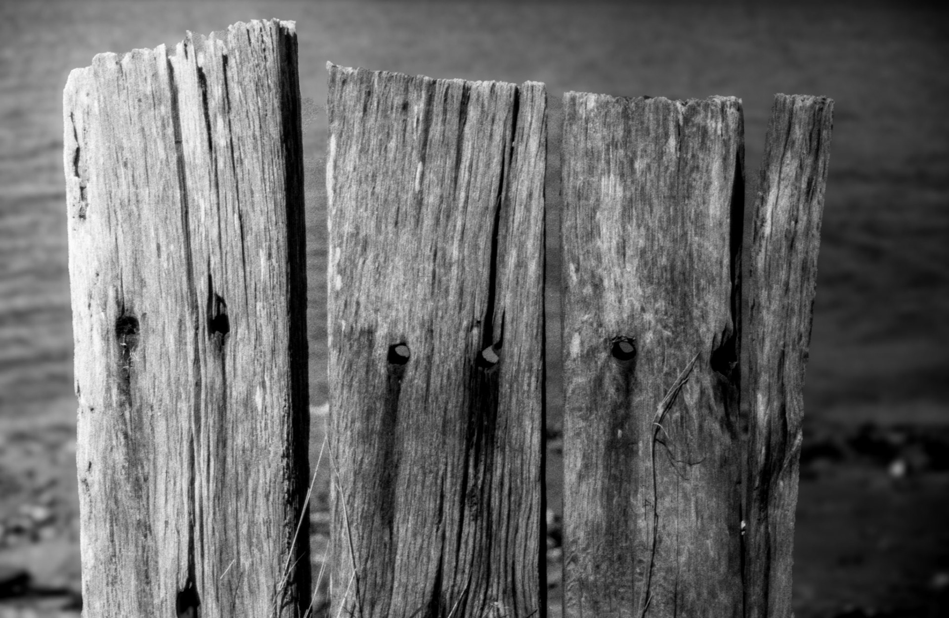 35mm B&W Film Belfast Lough