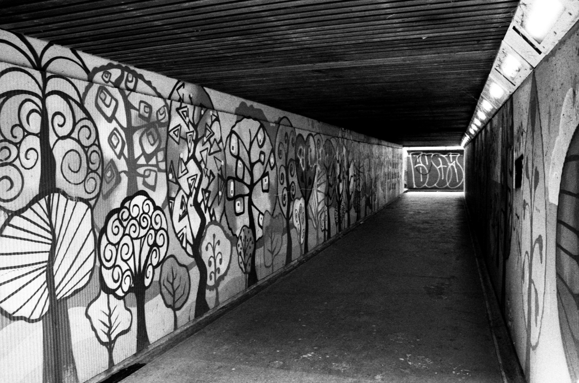 35mm B&W Film Holywood