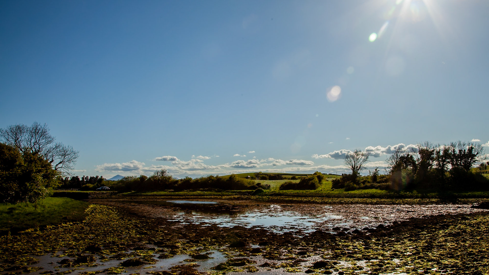 Digital Ards Peninsula