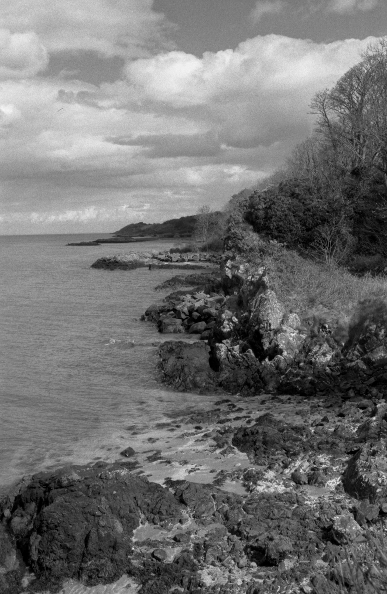35mm Film Belfast Lough