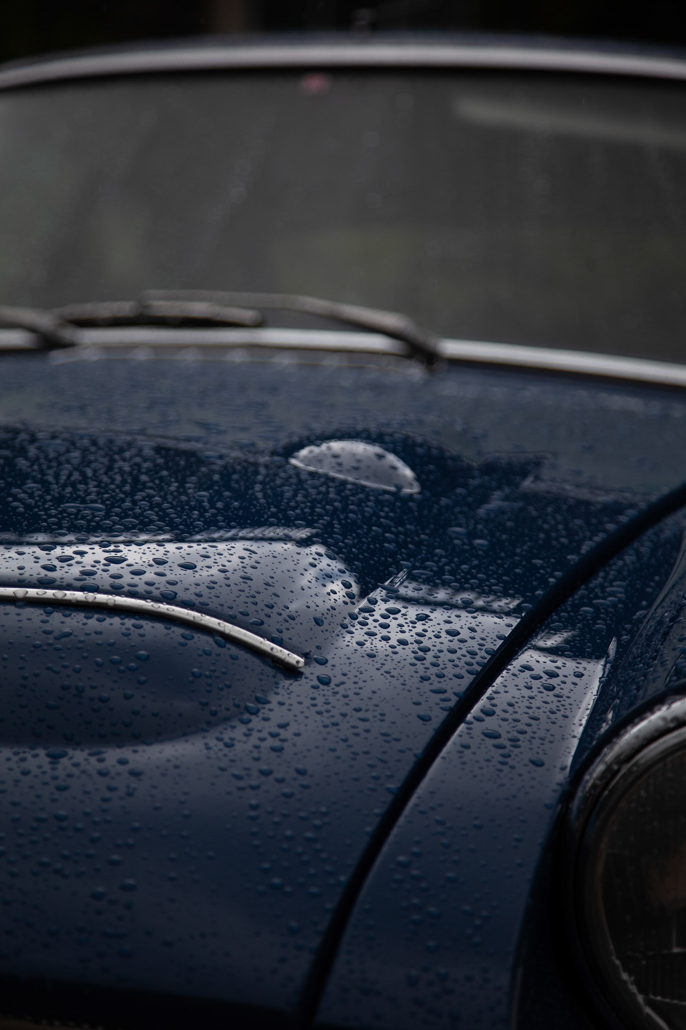 Digital Mount Stewart