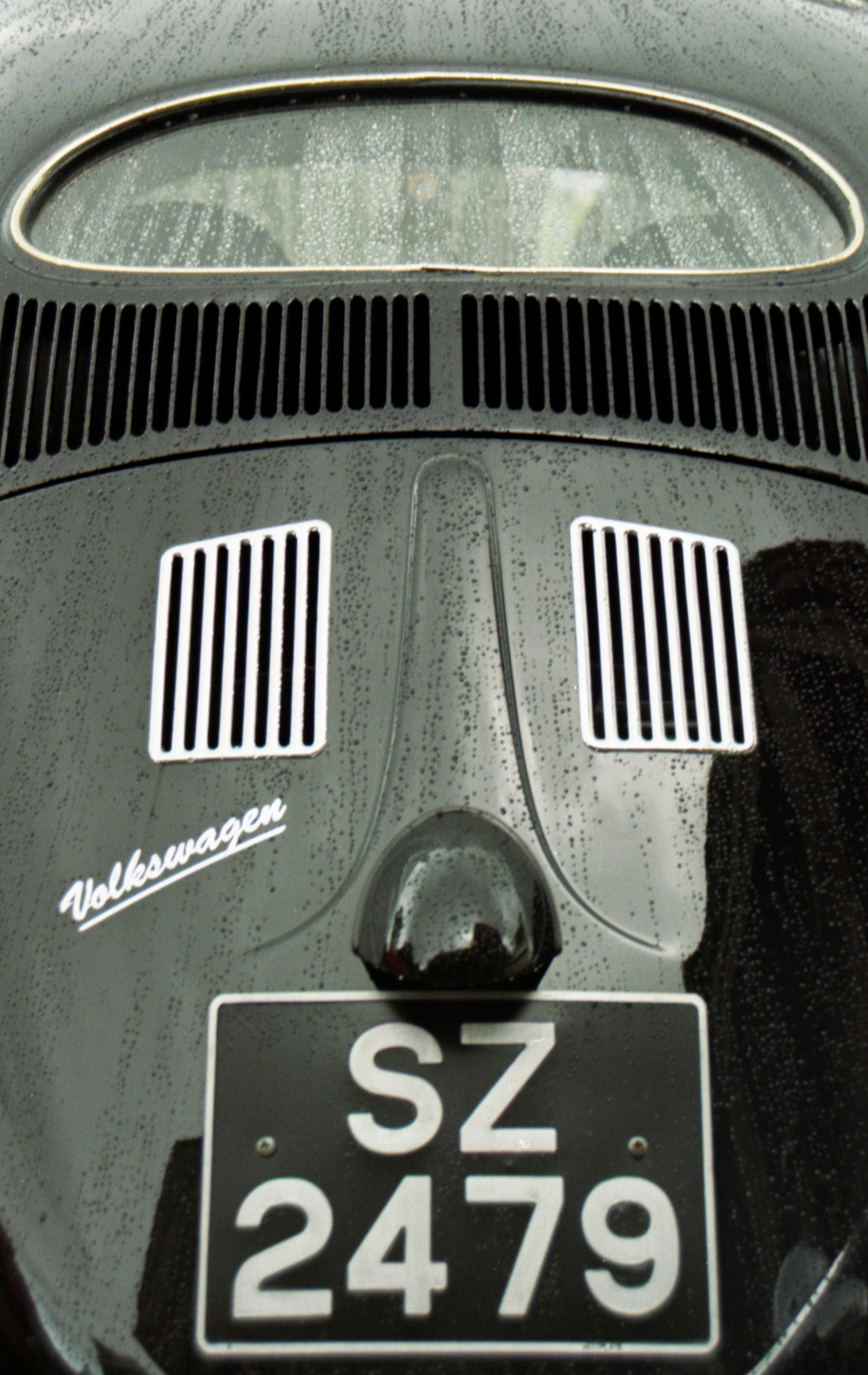 35mm Colour Film Mount Stewart