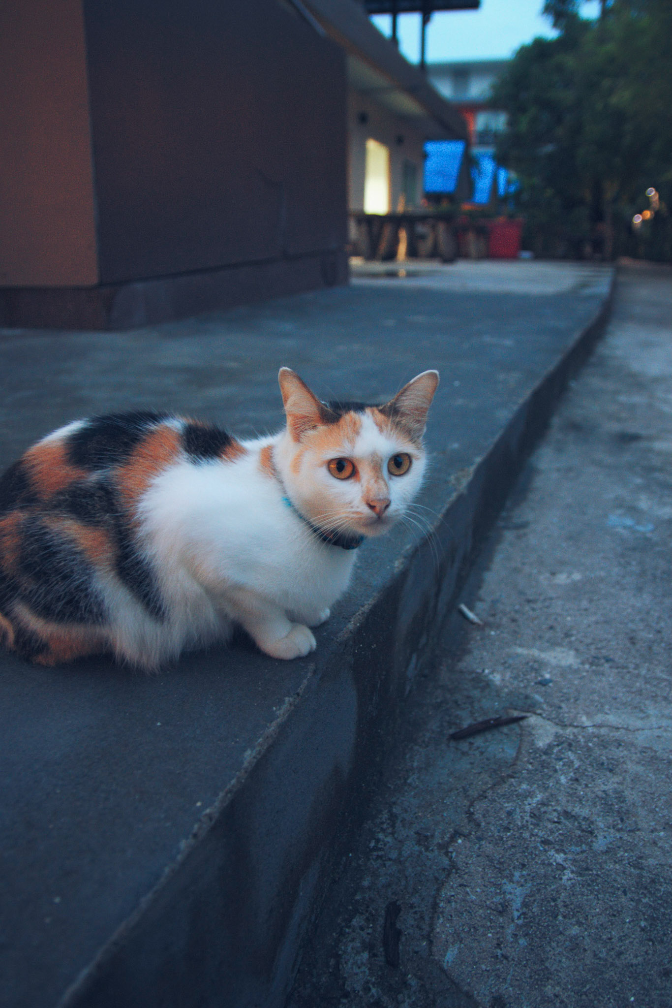 Processed with VSCO with a5 preset