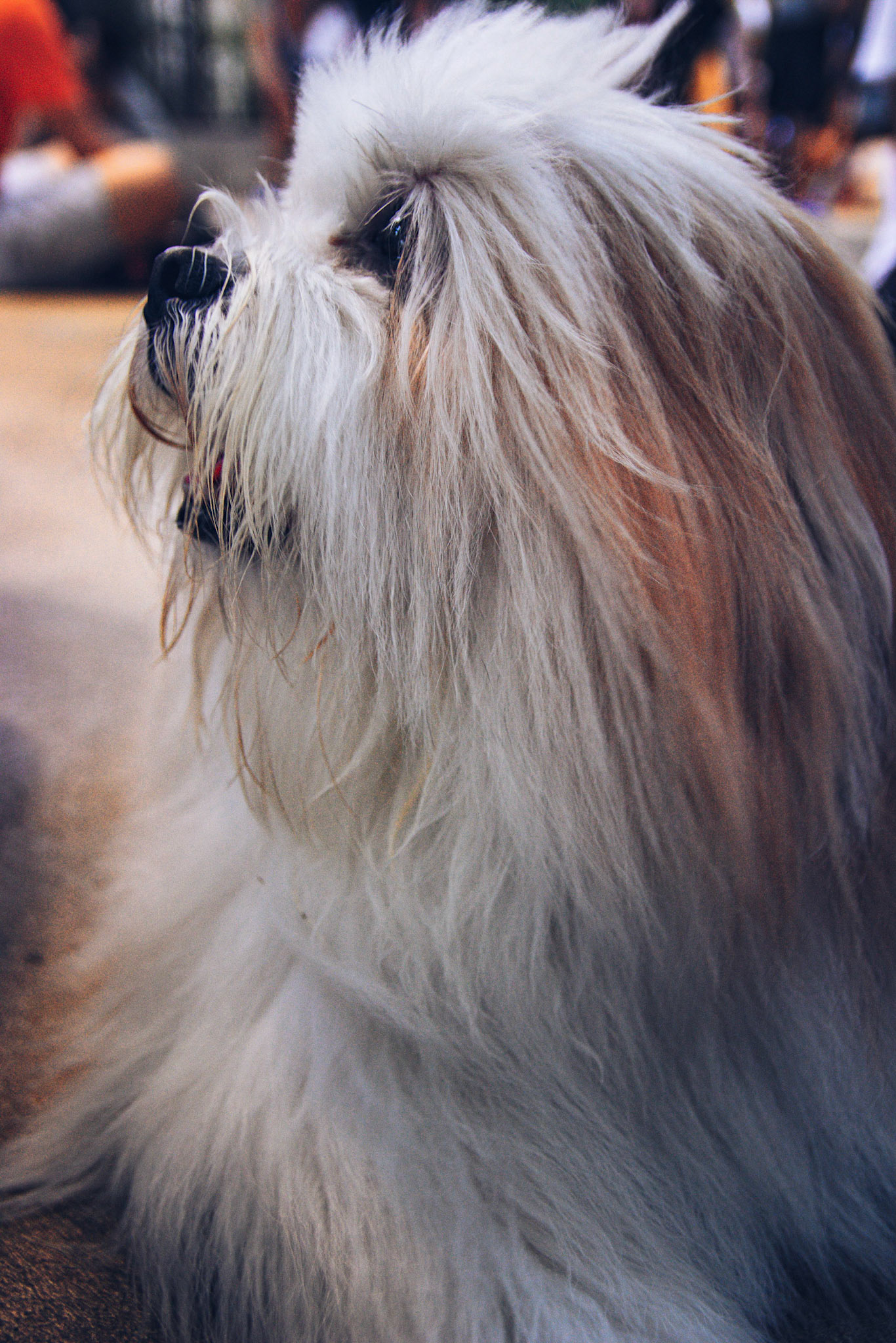 Processed with VSCO with a5 preset