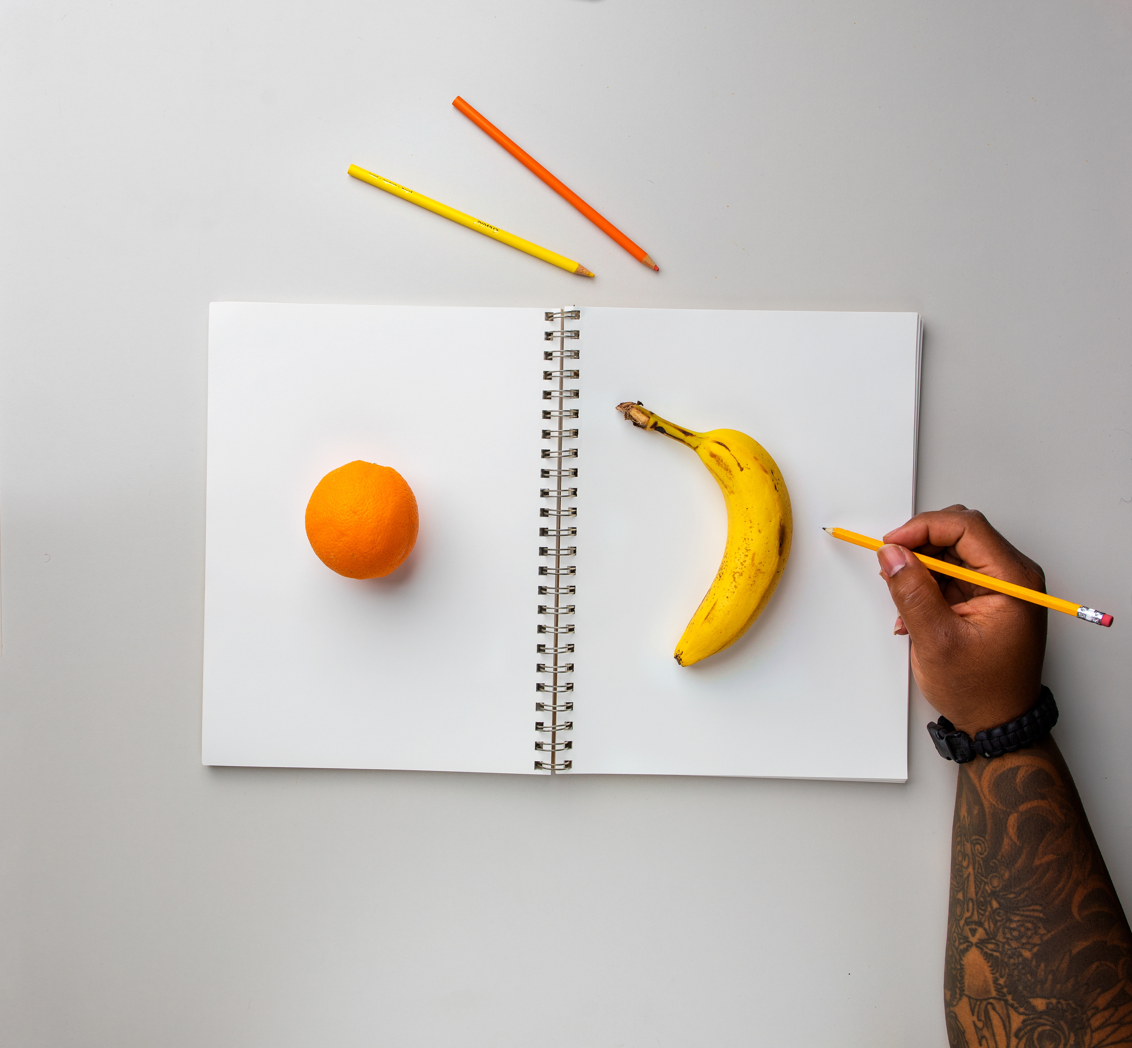 Real Fruit Drawing