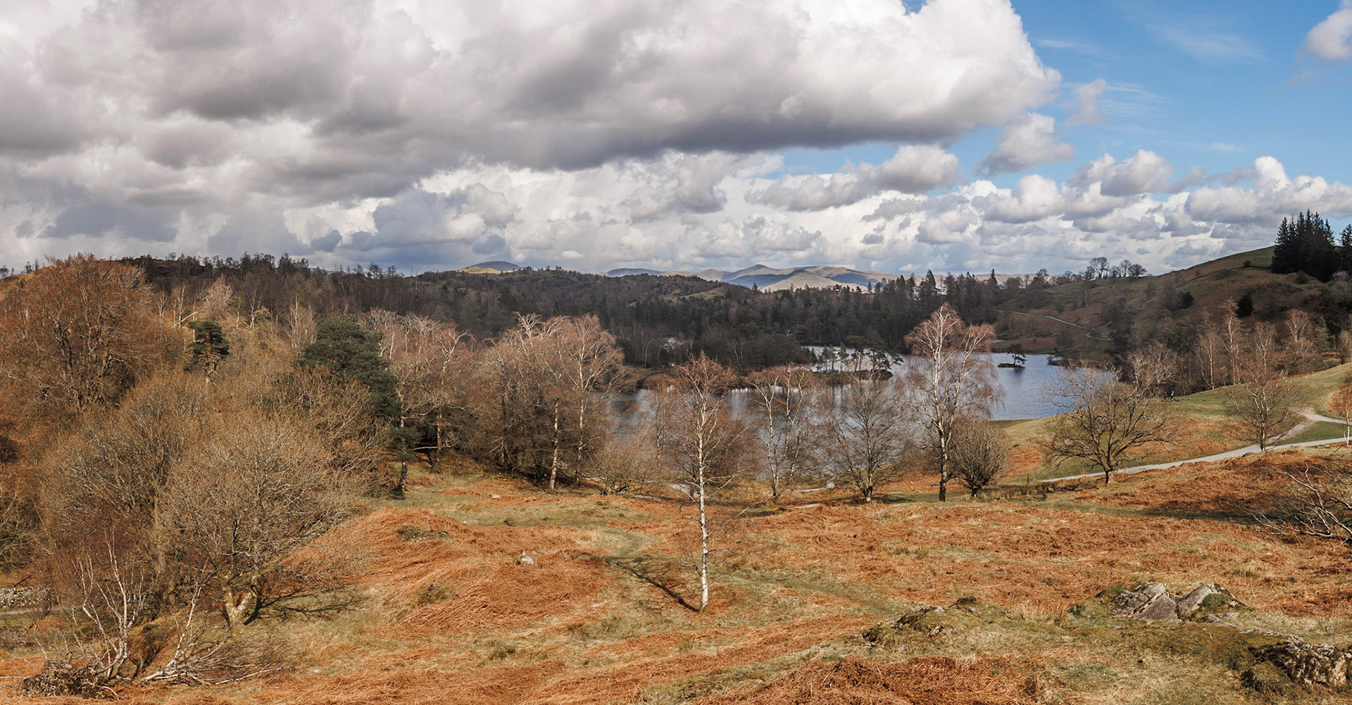 Tarn Haws