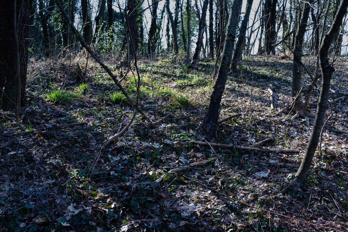 Figure da 4 a 10 - Foto dell’area della ex-cava