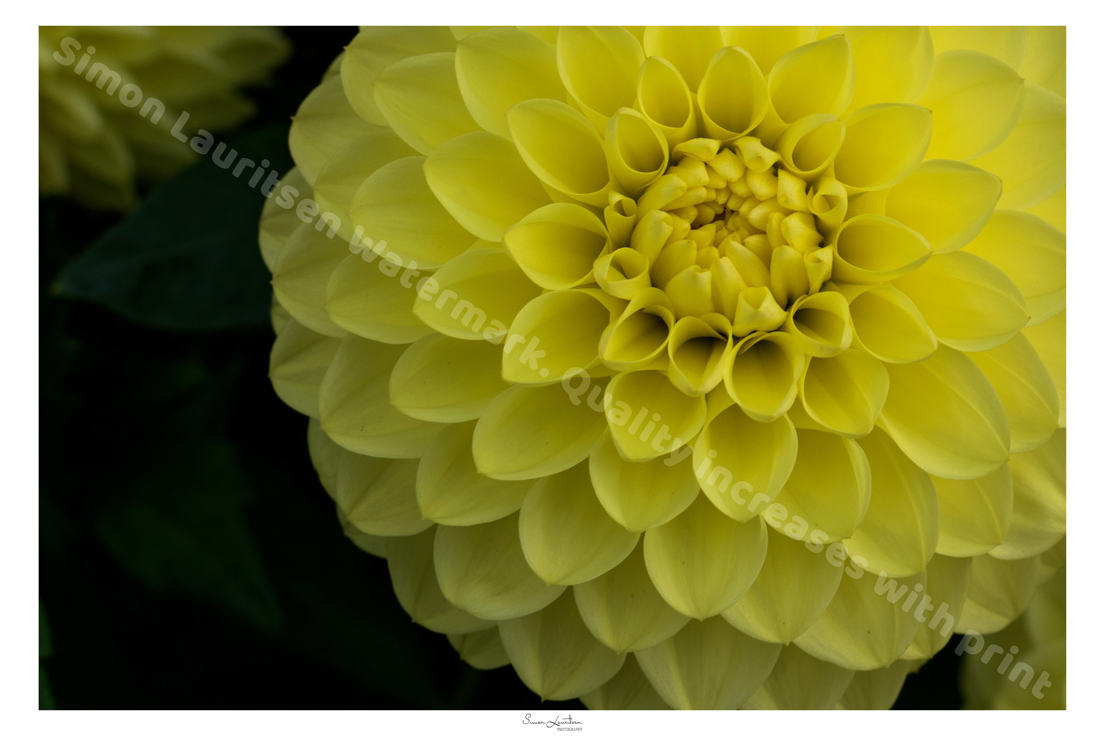 NAT-7: I love the symmetry of these ones !!
