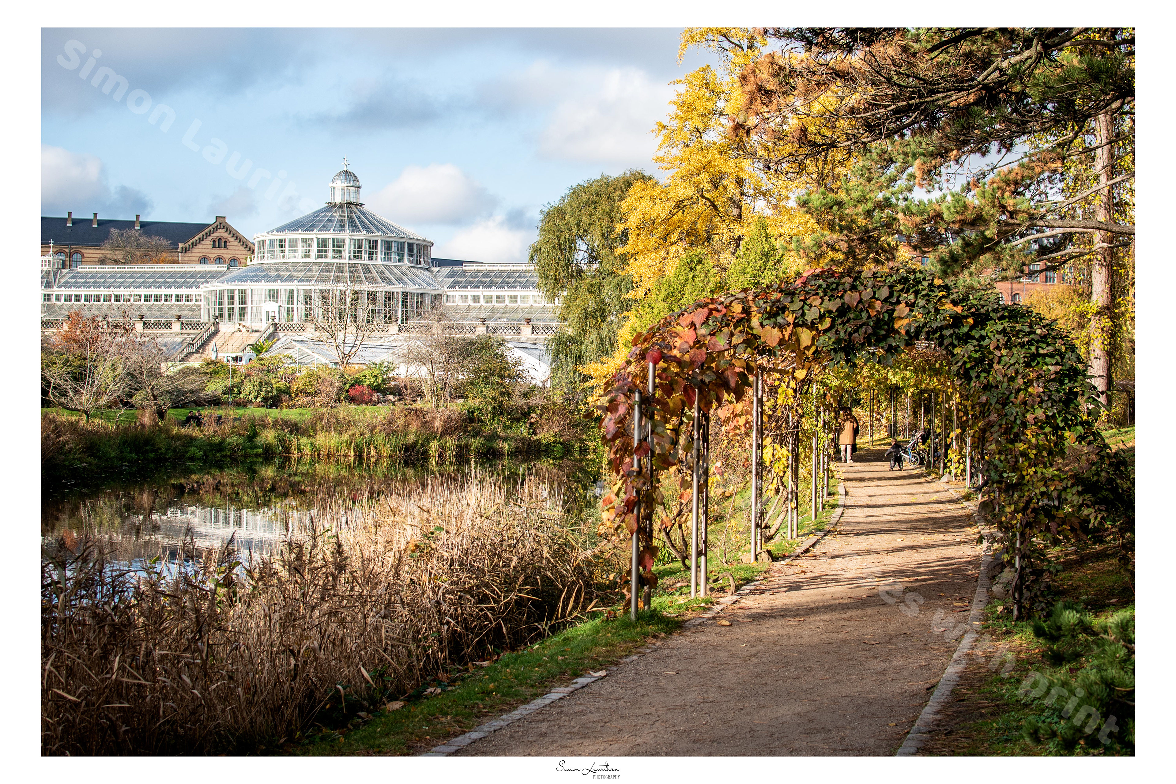 CITY-20 : Took a walk through Copenhagen by myself to get to know the city better. Went through the botanical garden and saw the beautiful reflection in the water and the tunnel of plants!!