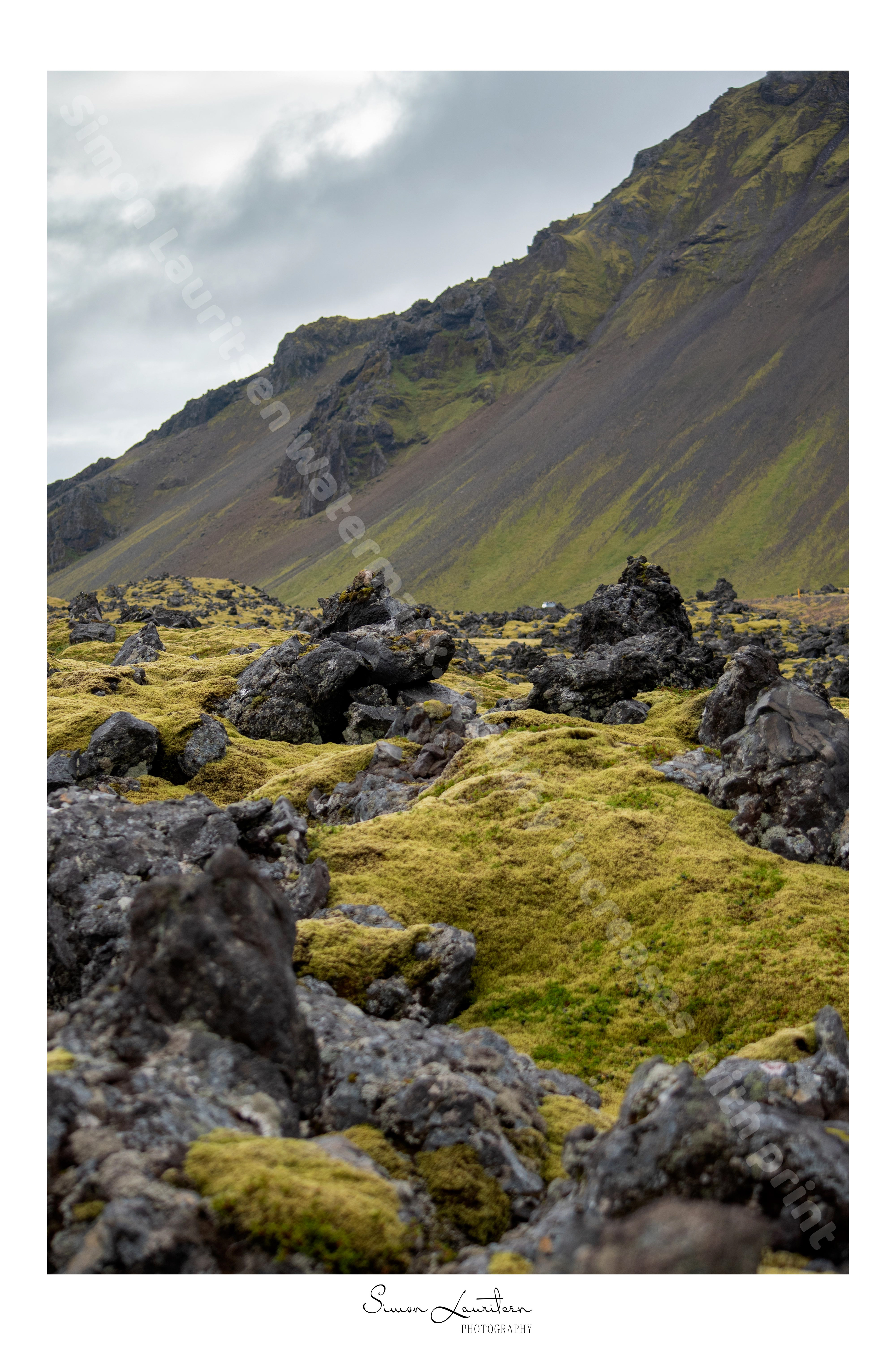 Lan-15: This is the beautiful green moss of Iceland. It is said, that some of these big stones might be a house for one of the Elfs.