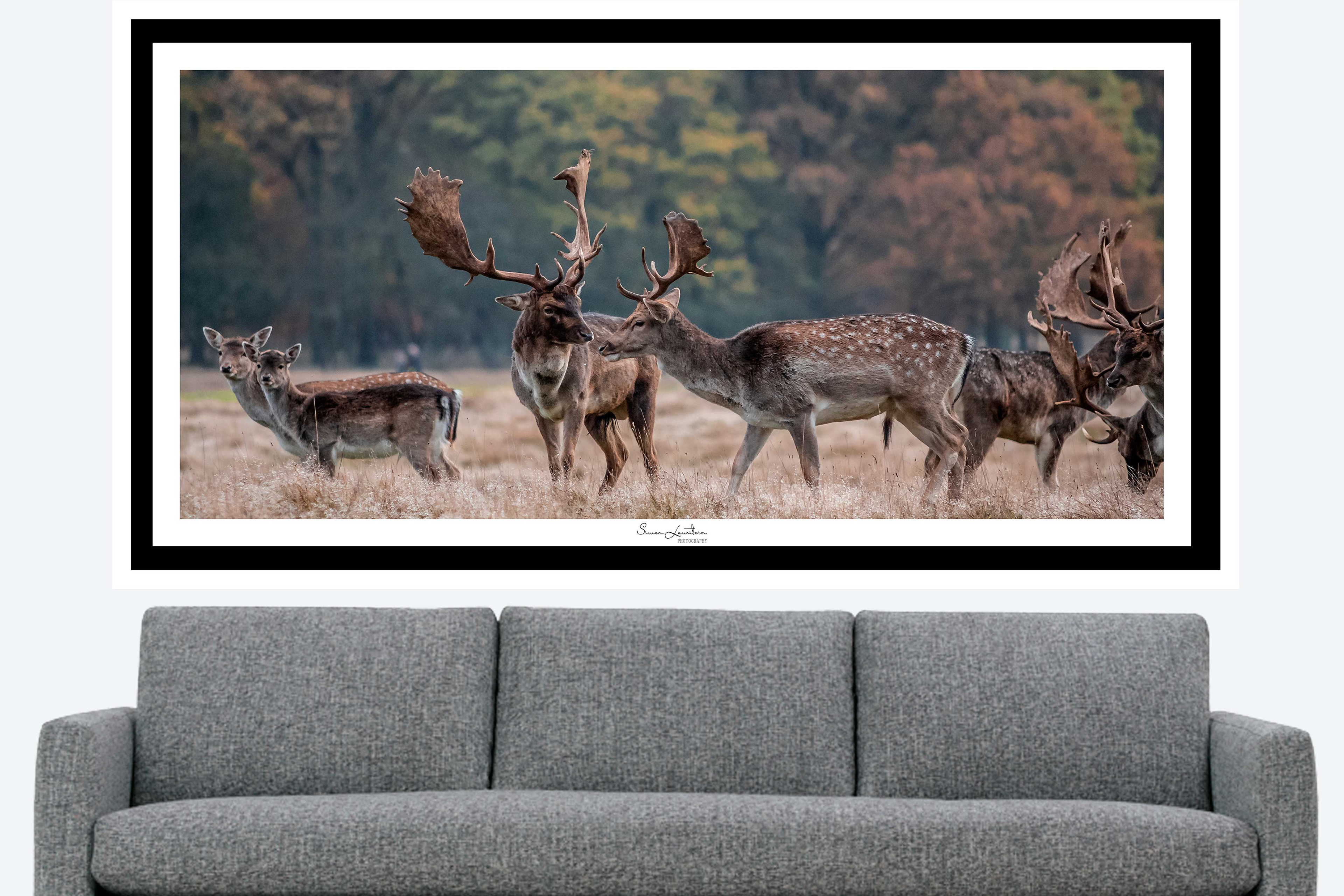 COMB-8: 210x105 cm = 950 dkk
