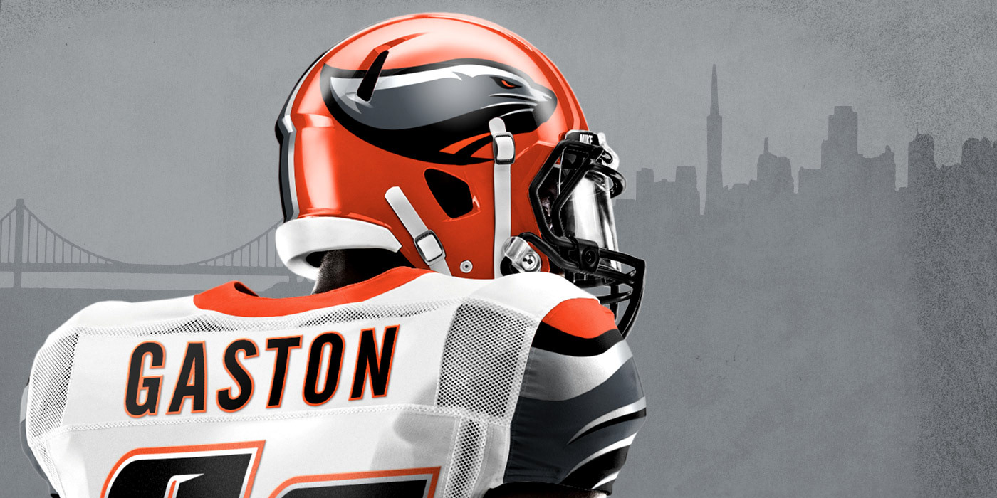 Gridiron Labs  Brand, Logo, Sports Identity, Graphic Design - Bay Area Sea  Lions