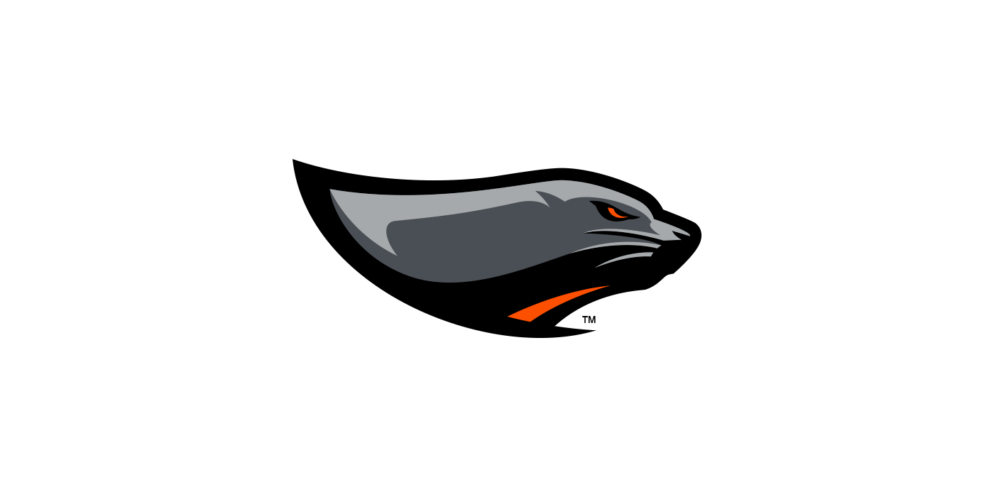 Bay Area Sea Lions, The American-11 Football League Wiki