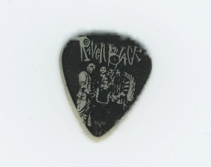 Raven Black  Guitar Pick