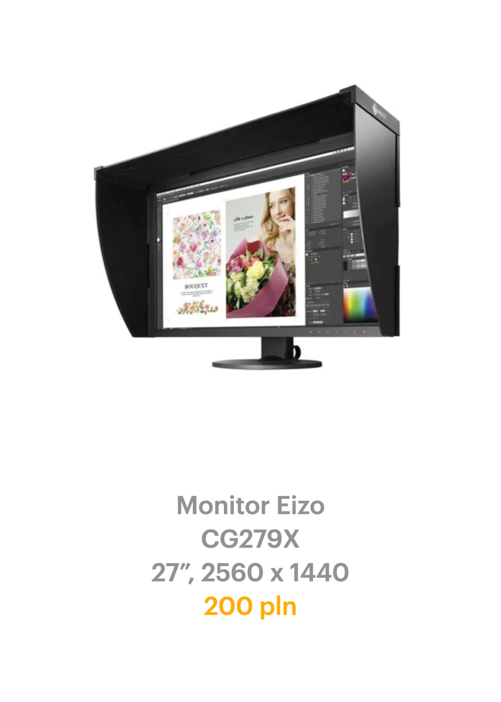 Eizo monito rental wynajem